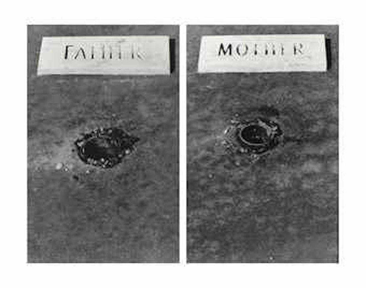 Father, Mother (The Graves #33) by Sophie Calle