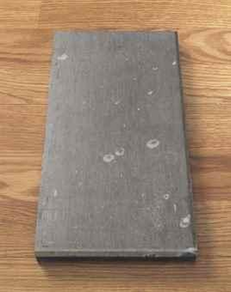 Satier by Carl Andre