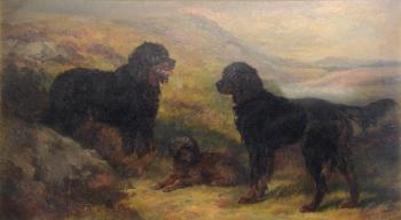 Three dogs in a highland landscape by Heywood Hardy