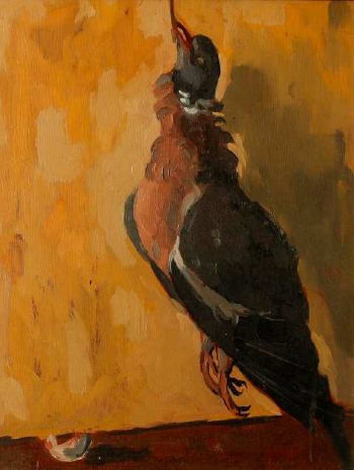 A study of a dead pigeon by Kyffin Williams