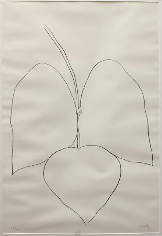 Camellia (String Bean Leaves I) (Haricot Vert I) by Ellsworth Kelly