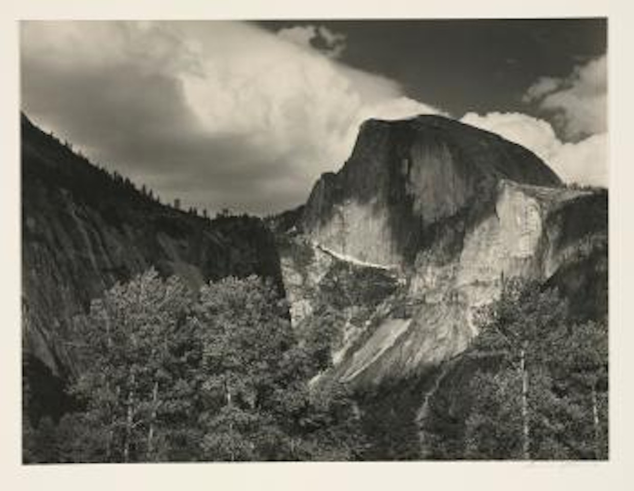 Half Dome - Yosemite (Half Dome, Cottonwood Trees) by Ansel Adams