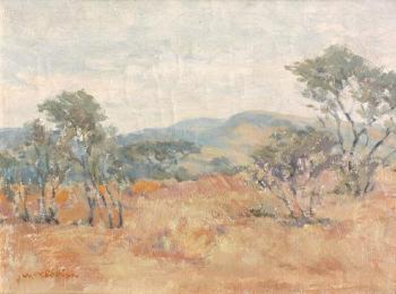 A bushveld vista by Walter Battiss