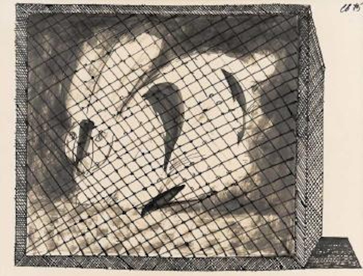 The Rabbit by Charles Blackman