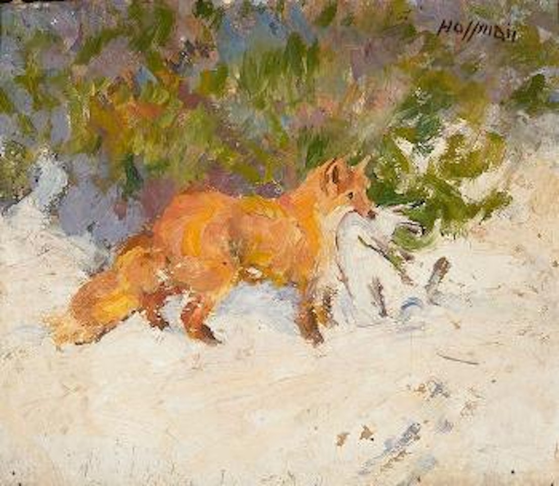 Fox by Frank B. Hoffman