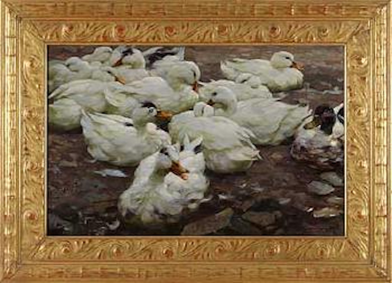 Ruhende Enten by Alexander Koester