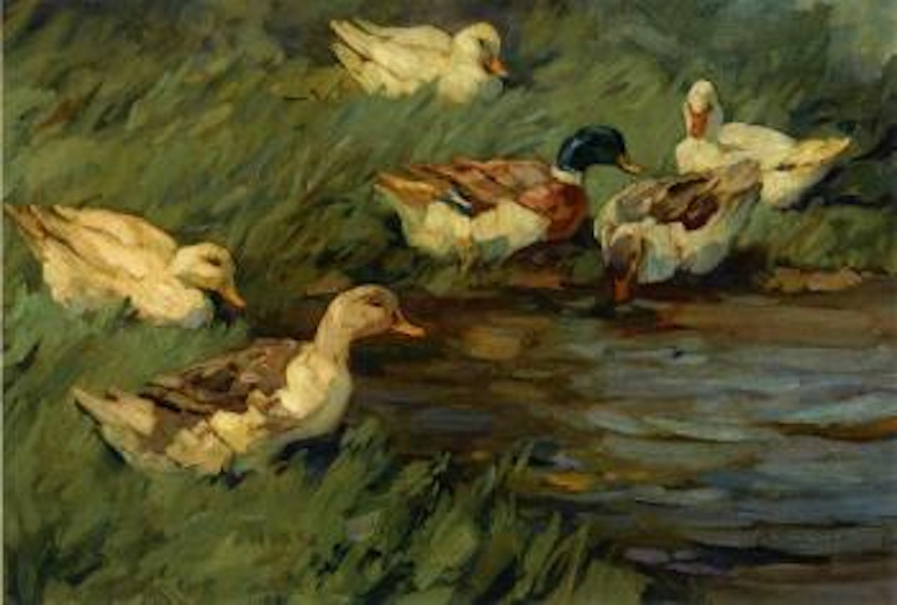 Sechs Enten am Schilfwasser by Alexander Koester