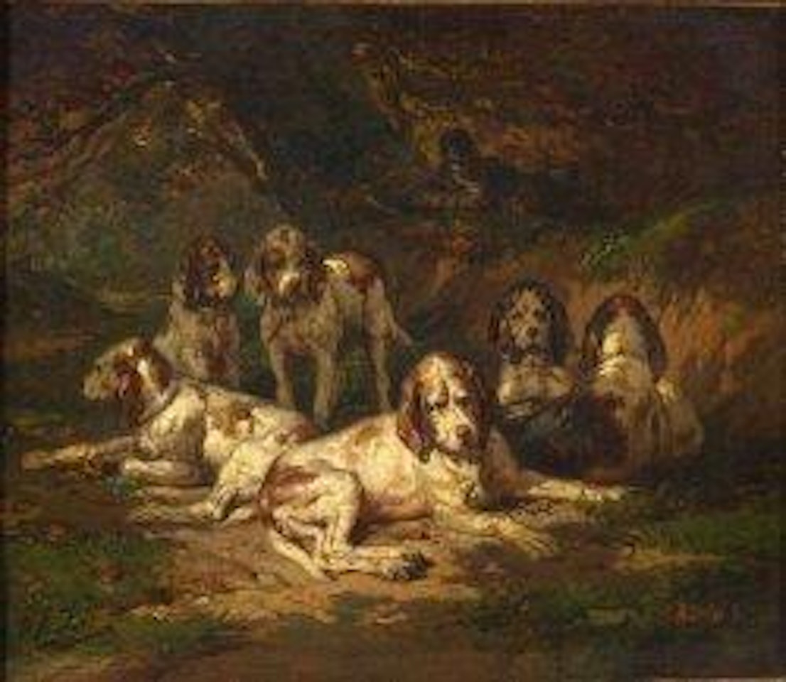 Chiens au repos by Olivier de Penne