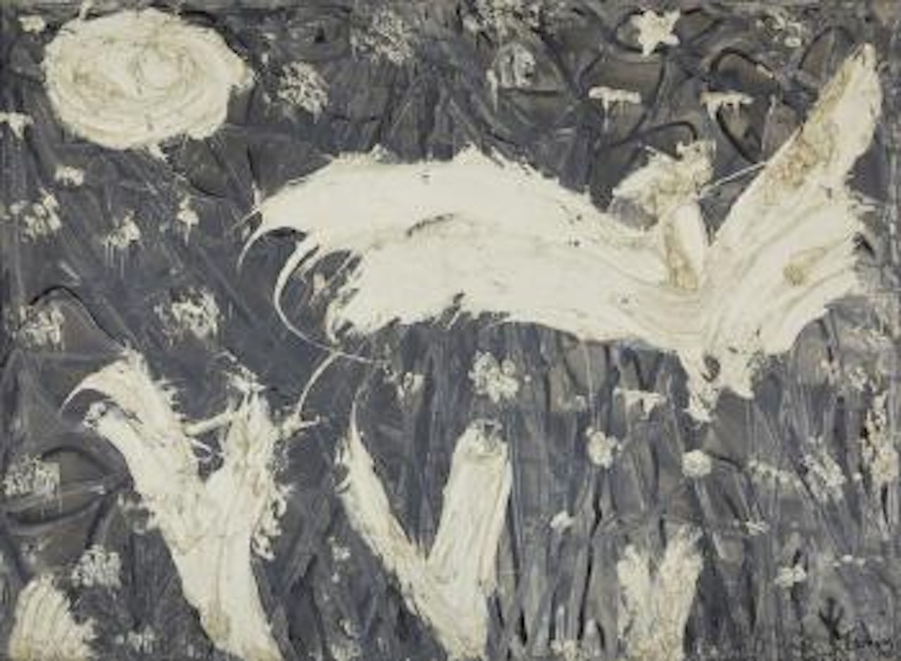 Oiseau blanc by Thanos Tsingos