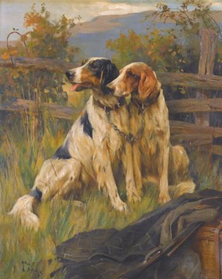 Gun Dogs by Arthur Wardle