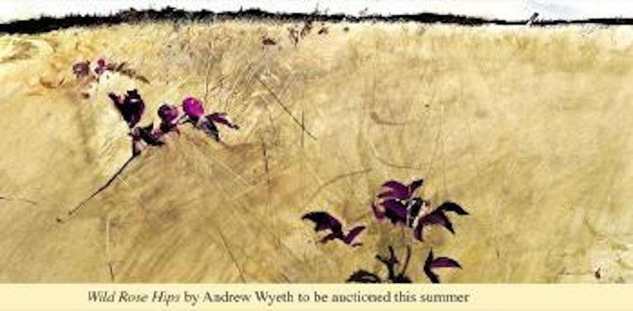 Wild Rose Hips by Andrew Wyeth