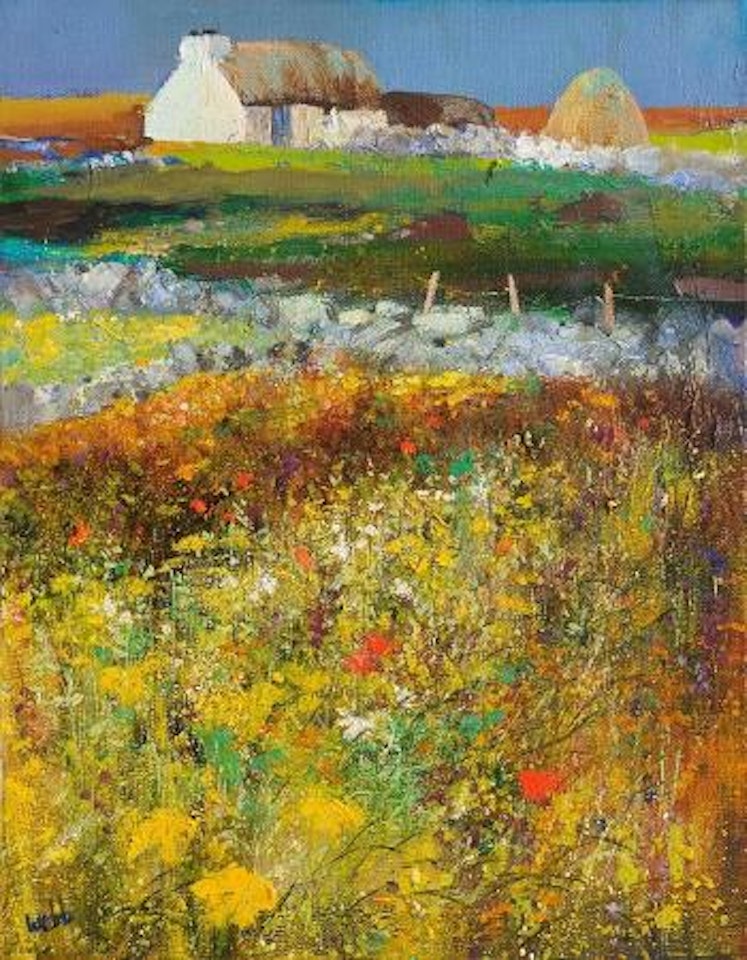 Connemara cottage by Kenneth Webb