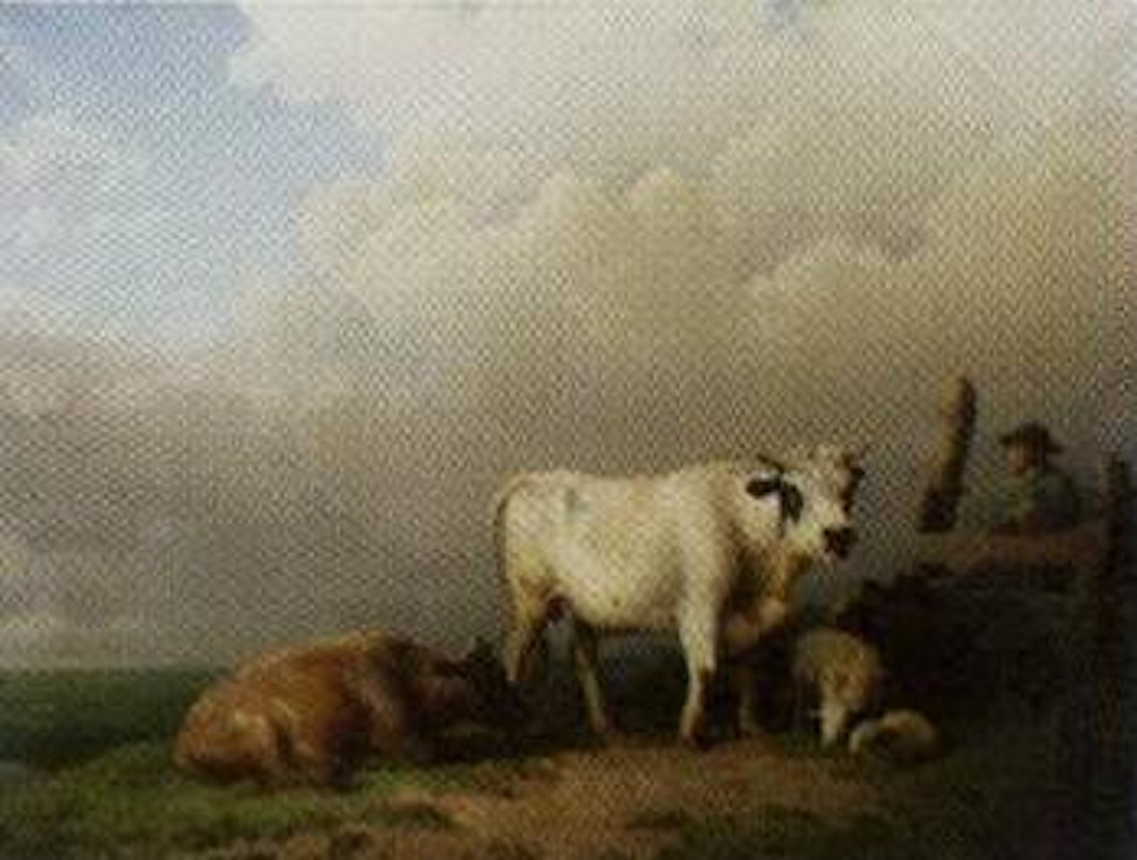 Cows and sheep by Eugène Joseph Verboeckhoven