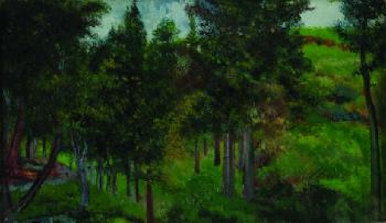 Bosque by Joaquín Clausell