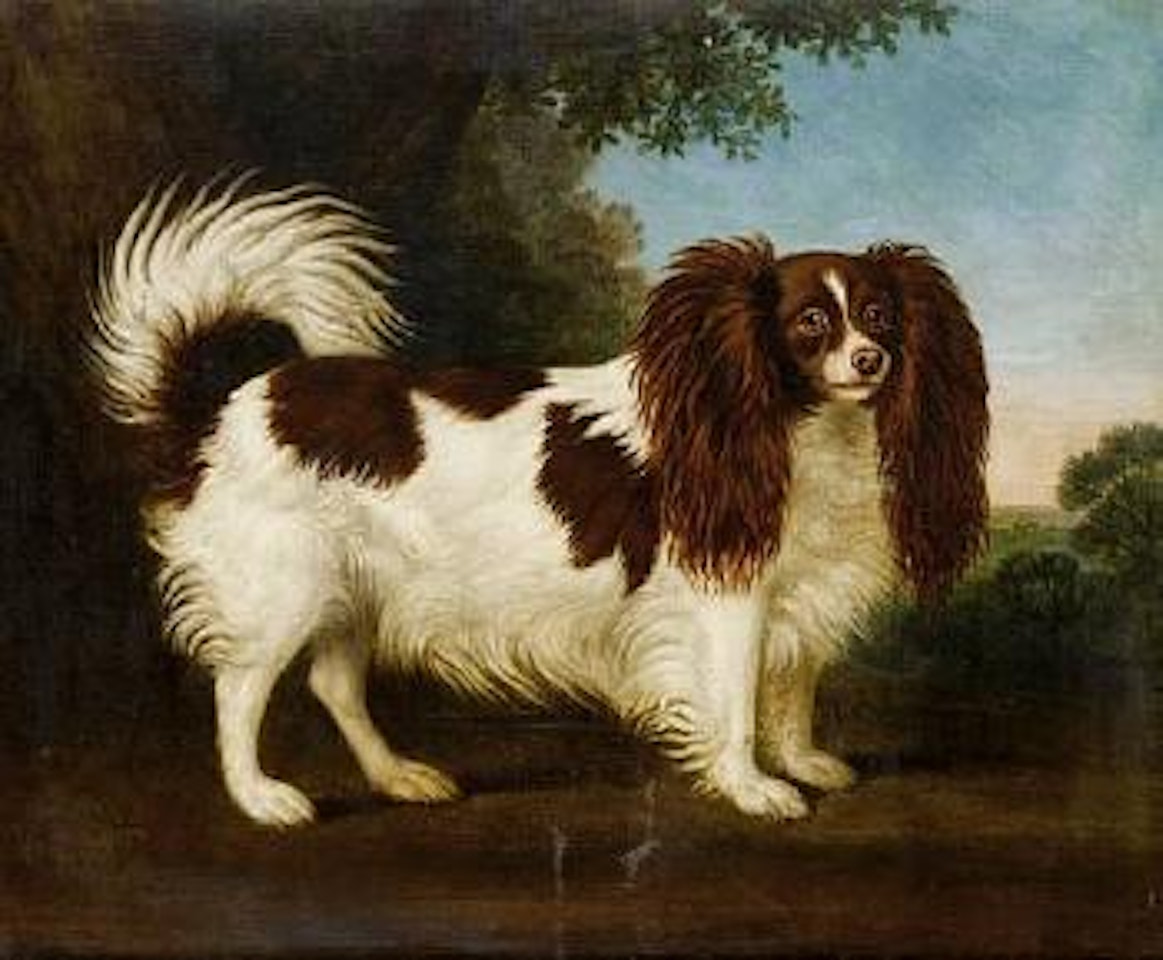 Spaniel in a landscape by English School