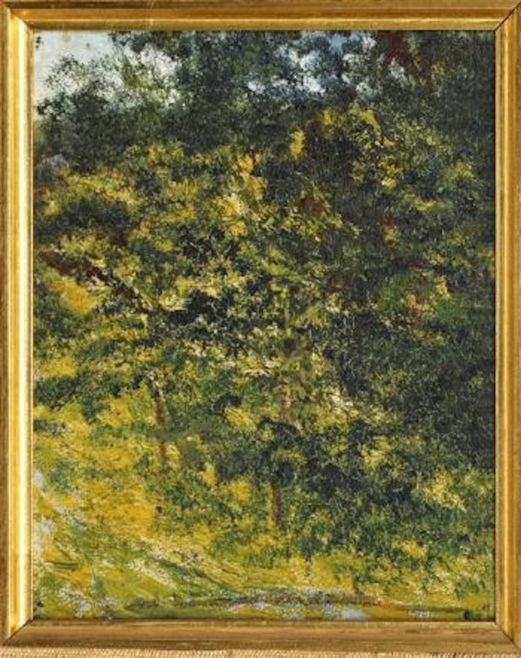 Sin título by Joaquín Clausell