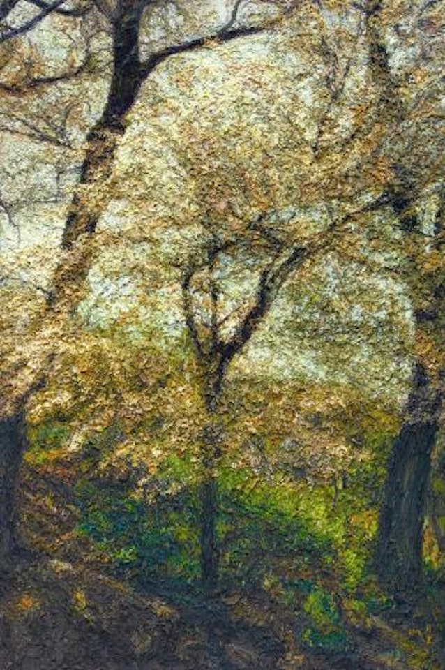 Spring by Oh ChiGyun