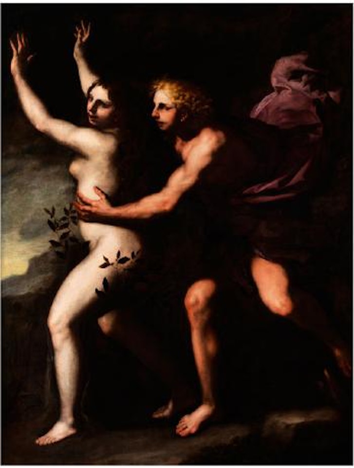 Apoll und Daphne by Circle of Luca Giordano