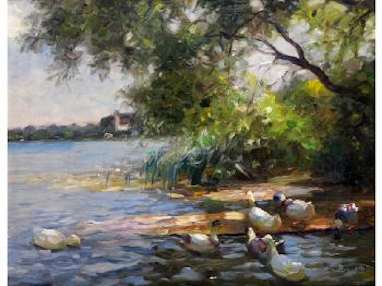 Enten am ufer unter Bäumen by Alexander Koester