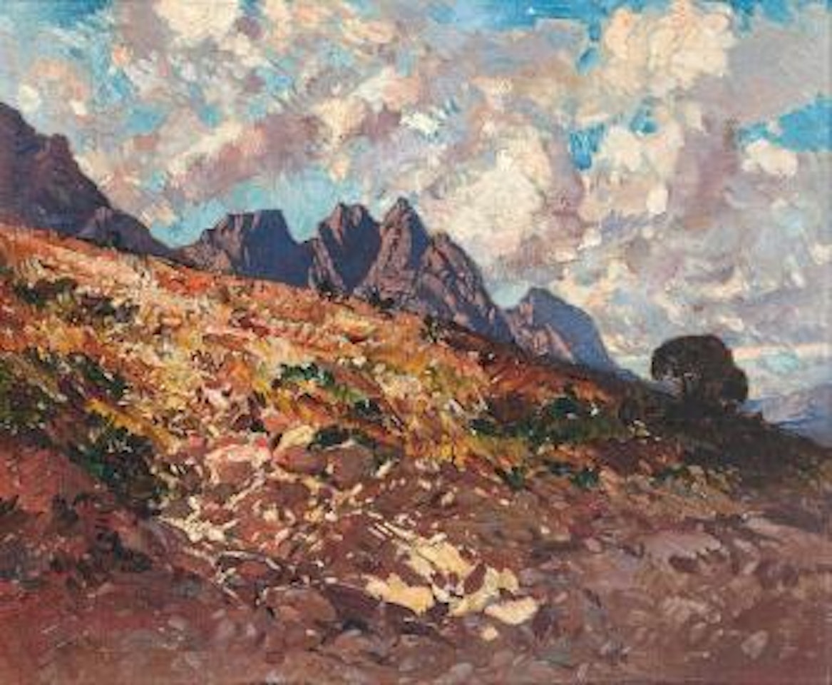 Jonkershoek, Cape by Robert Gwelo Goodman