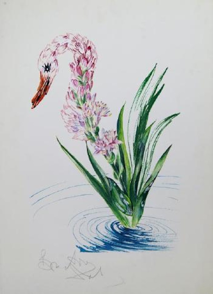 Surrealist Flowers by Salvador Dali