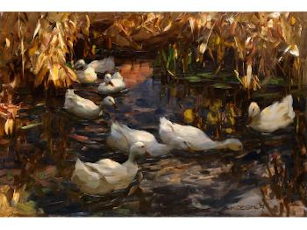 Enten am Teichufer by Alexander Koester