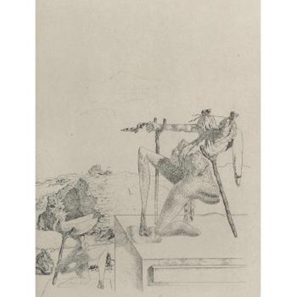 Two plates, from Les Chants De Maldoror  (M./L. 14, 22; F. 34-2 by Salvador Dali