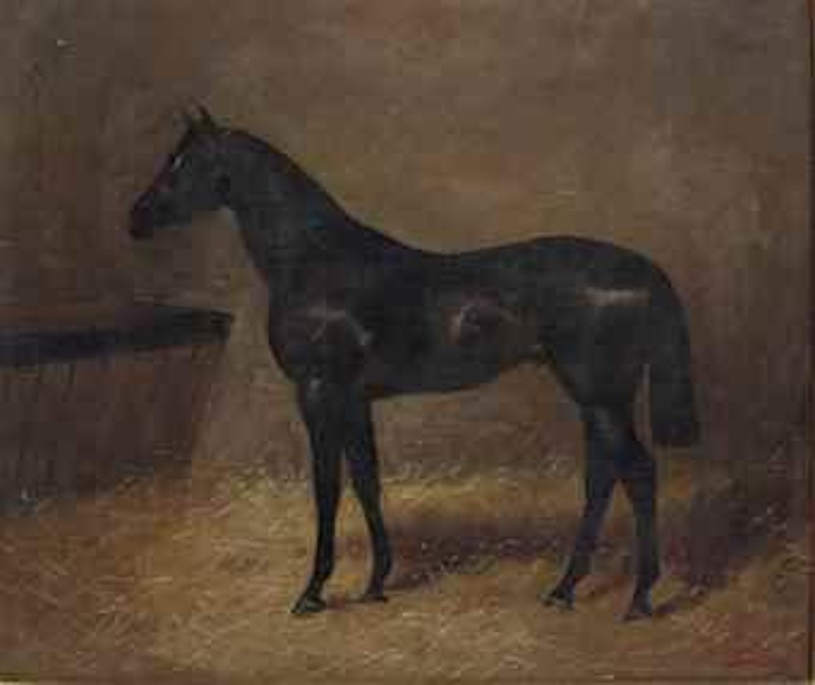 Hunter bai dans son box by Godfrey Douglas Giles