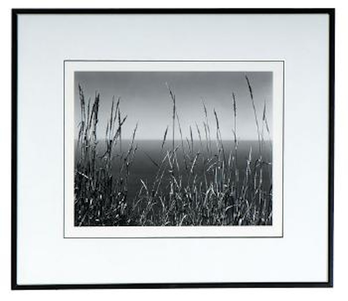 Grass and Sea, Big Sur by Edward Weston