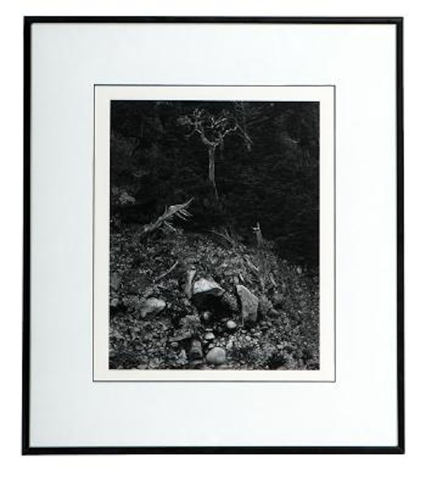 North wall, Point lobos by Edward Weston