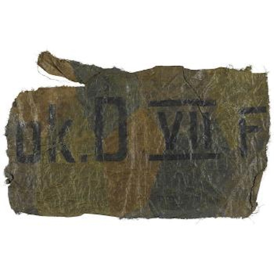 Canvas fragment from a German Fokker D.VII  Biplane, World War I by German School