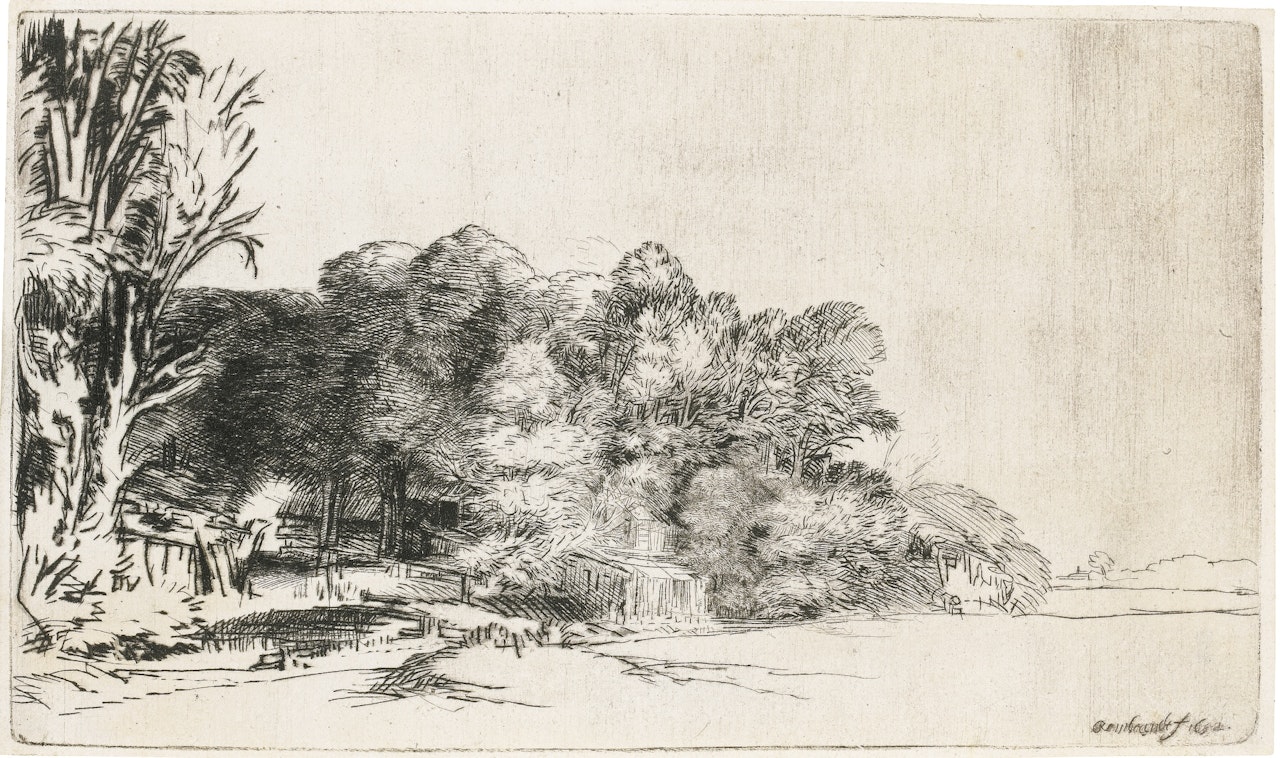 CLUMP OF TREES WITH A VISTA (B., HOLL. 222; NEW HOLL. 272; H. 263) by Attributed to Rembrandt Harmensz van Rijn