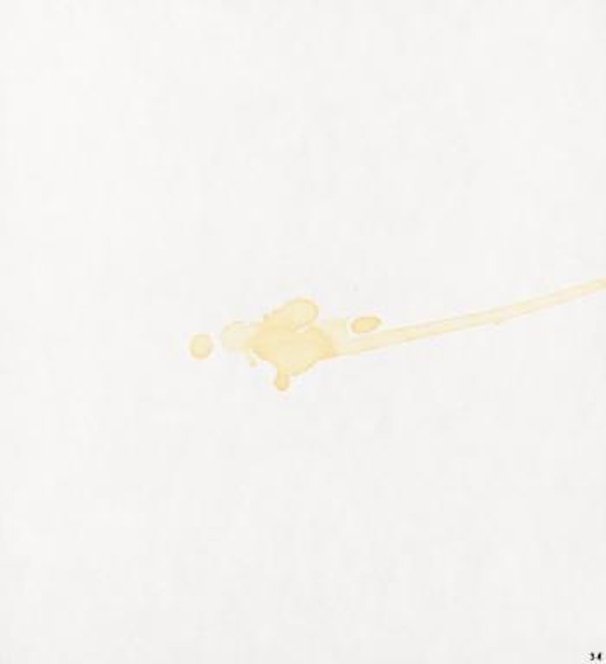 STAINS (MINNEAPOLIS INSTITUTE OF ARTS BOOKS 10) by Ed Ruscha