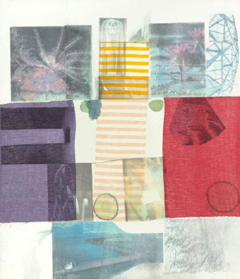 Van Vleck Series VI by Robert Rauschenberg