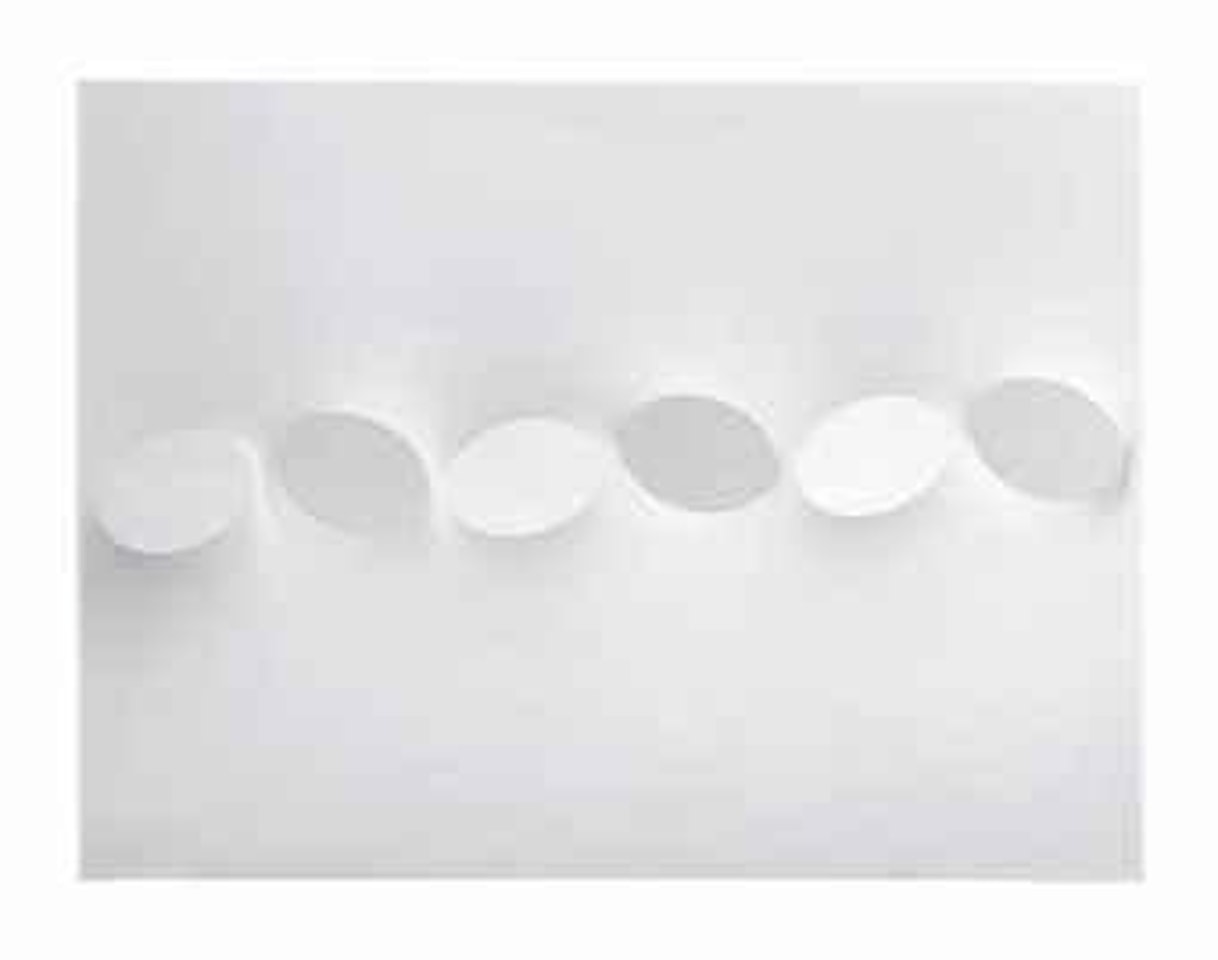 Sei ovali in bianco (Six Ovals in White) by Turi Simeti