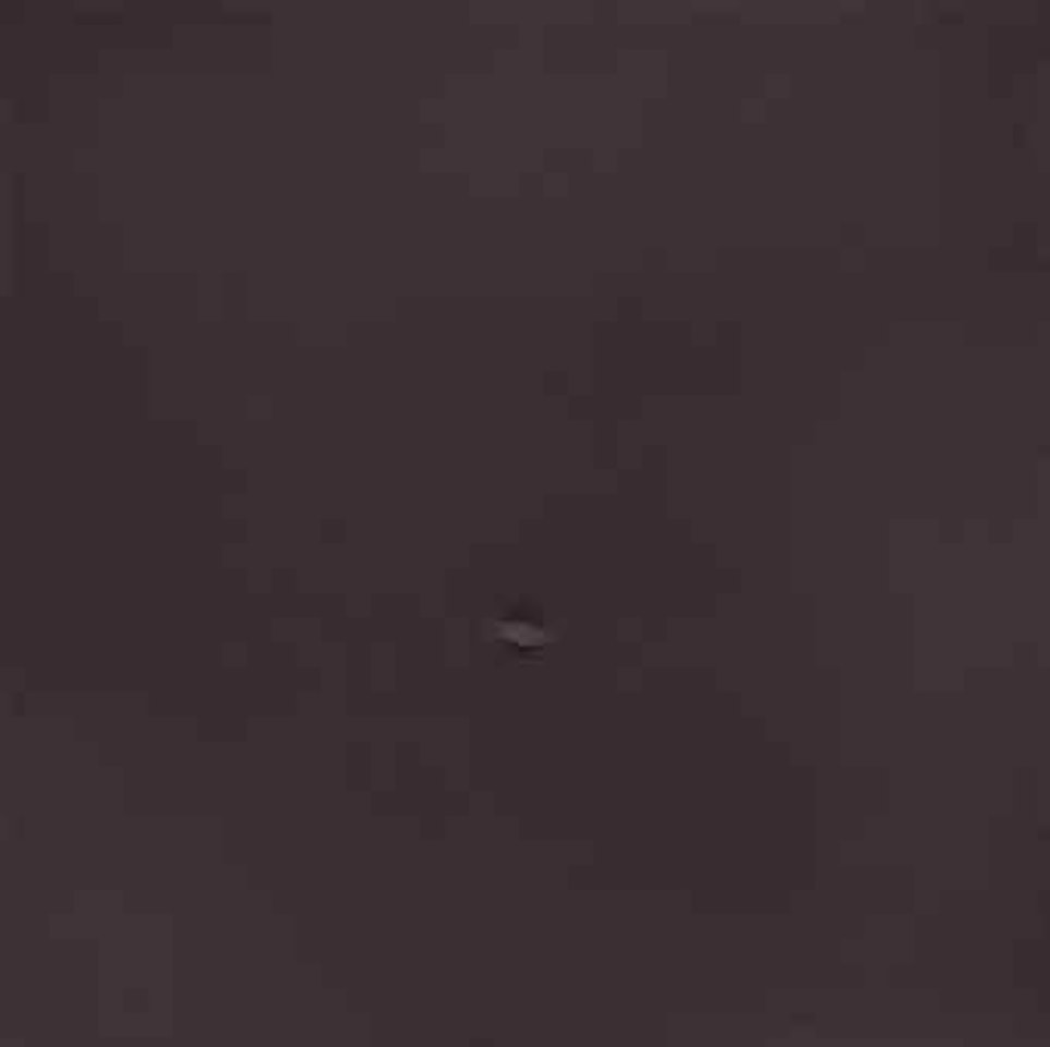 Un ovale nero (A Black Oval) by Turi Simeti