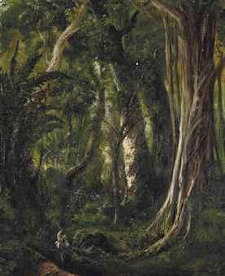 Travellers in a Cuban Forest by Pierre Toussaint Federic Mialhe