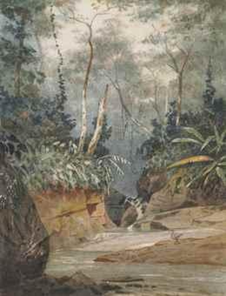 Landscape, Trinidad by Michel J Cazabon