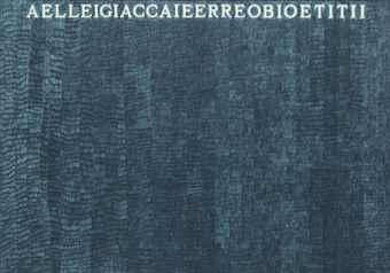 Aelleigiaccaieerreobioetitii by Alighiero Boetti