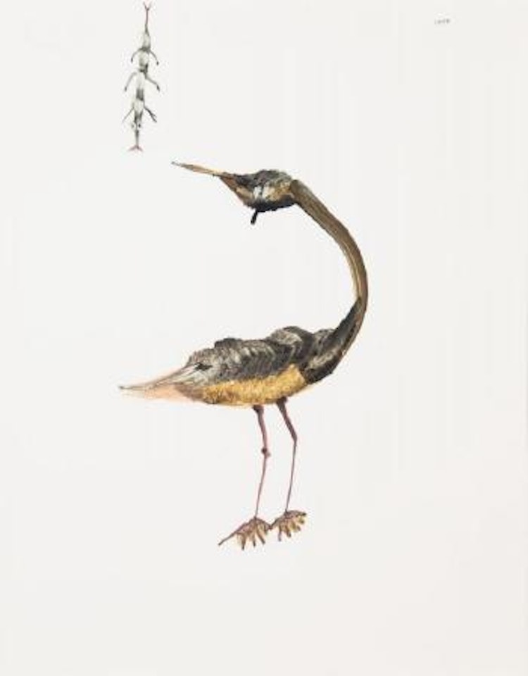 Upside down bird and insect by Sidney Nolan