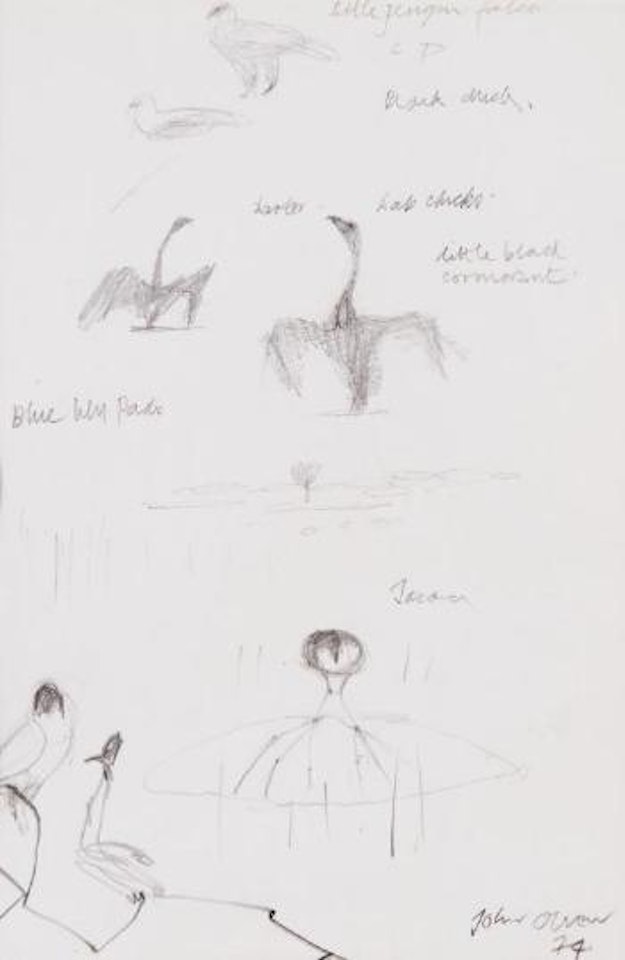 Bird and blue lily pad by John Olsen