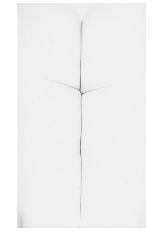 Eleanor by Harry Callahan