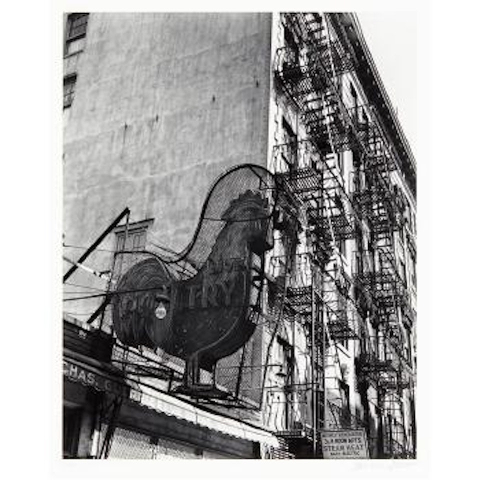 Poultry shop, East 7th Street, New York by Berenice Abbott