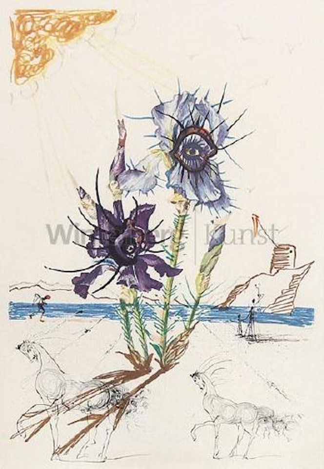 Iris Germanica cum ocellis italicis by Salvador Dali