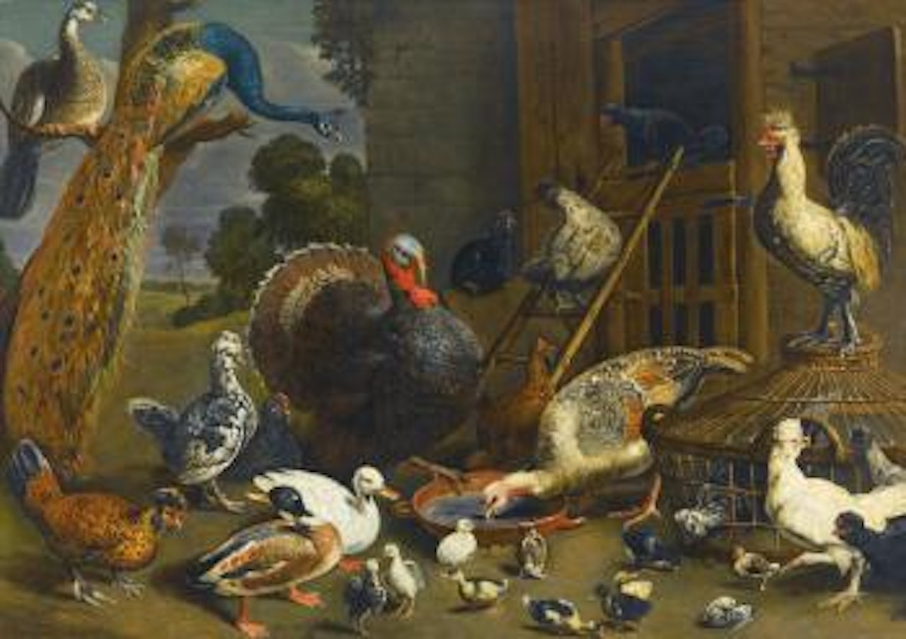 A variety of birds including a peacock, turkey, chickens, and ducks with their young drinking, playing and pecking about in a yard by Adriaen van Utrecht