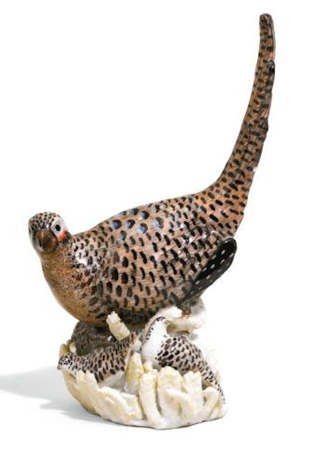 A model of a Pheasant Hen by Johann Joachim Kändler