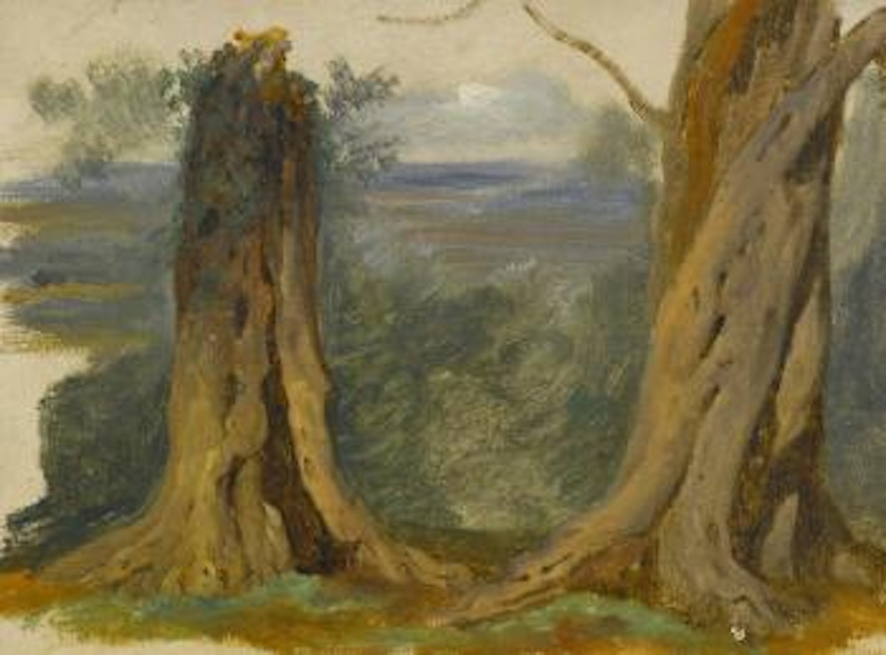 Study of Two Tree Trunks by Alfred James Munnings