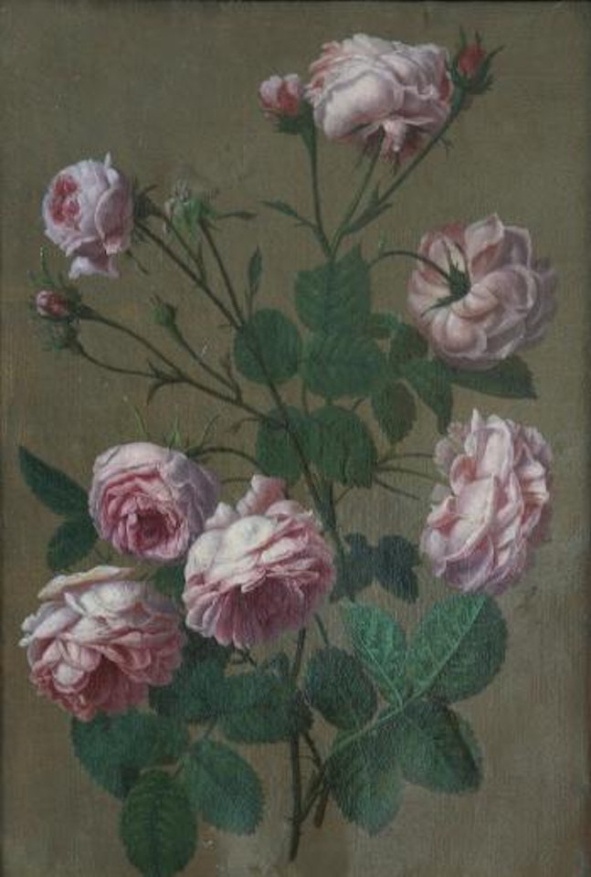 Still Life of Roses by French School