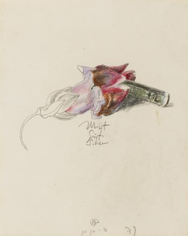 Blume und Buntstift ('Mist Gut Schein') by Horst Janssen