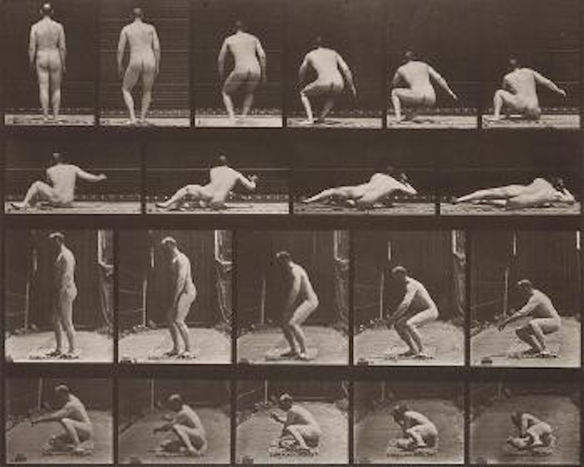 Animal Locomotion by Eadweard Muybridge